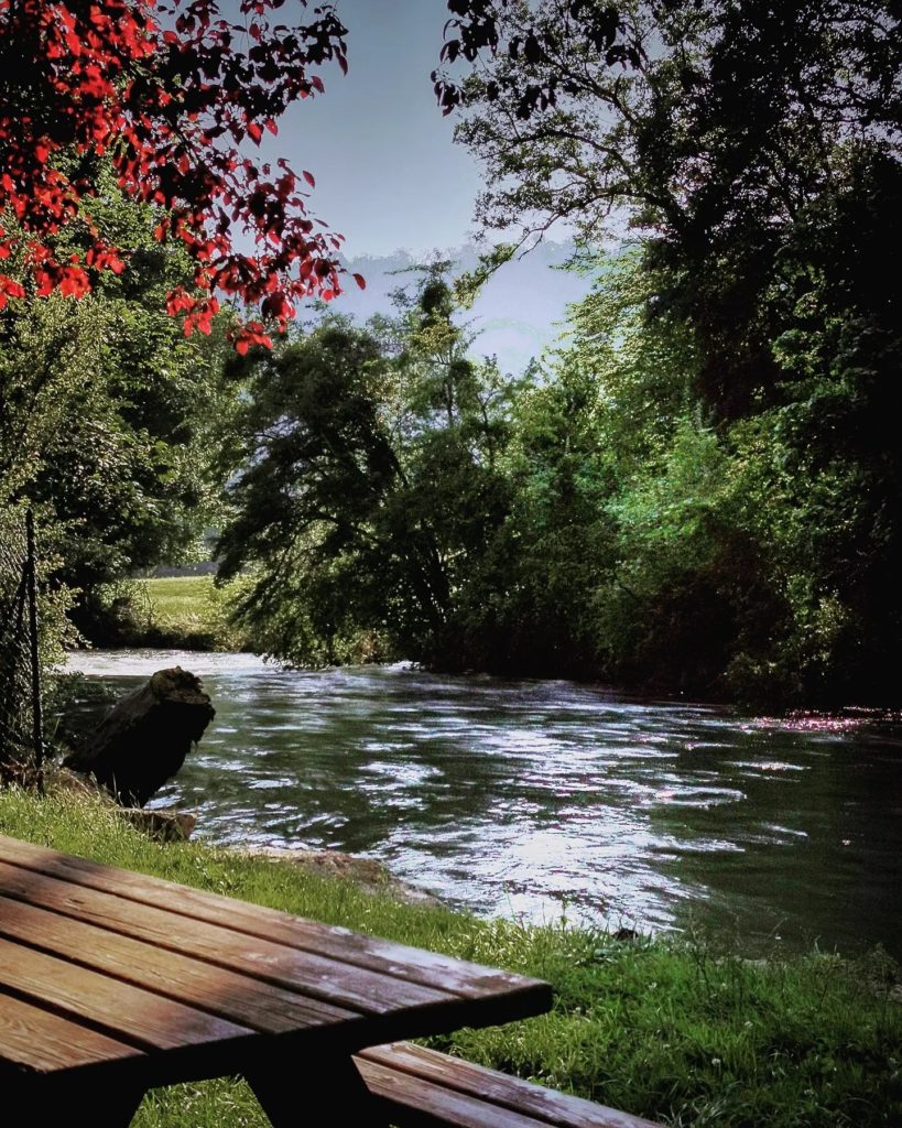 #doubs #franchecomte #france #besancon #bourgognefranchecomte #doubstourisme #nature #landscape #jura #tree #visitdoubs #naturelovers #baumelesdames #franchecomt #photography #eurovelo6 #franchecomtetourisme