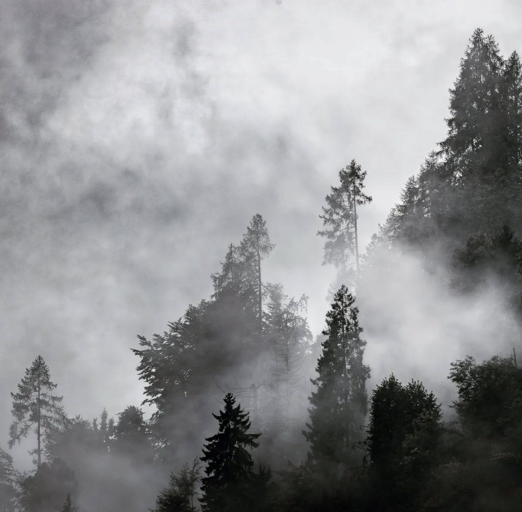 Val Soana #3