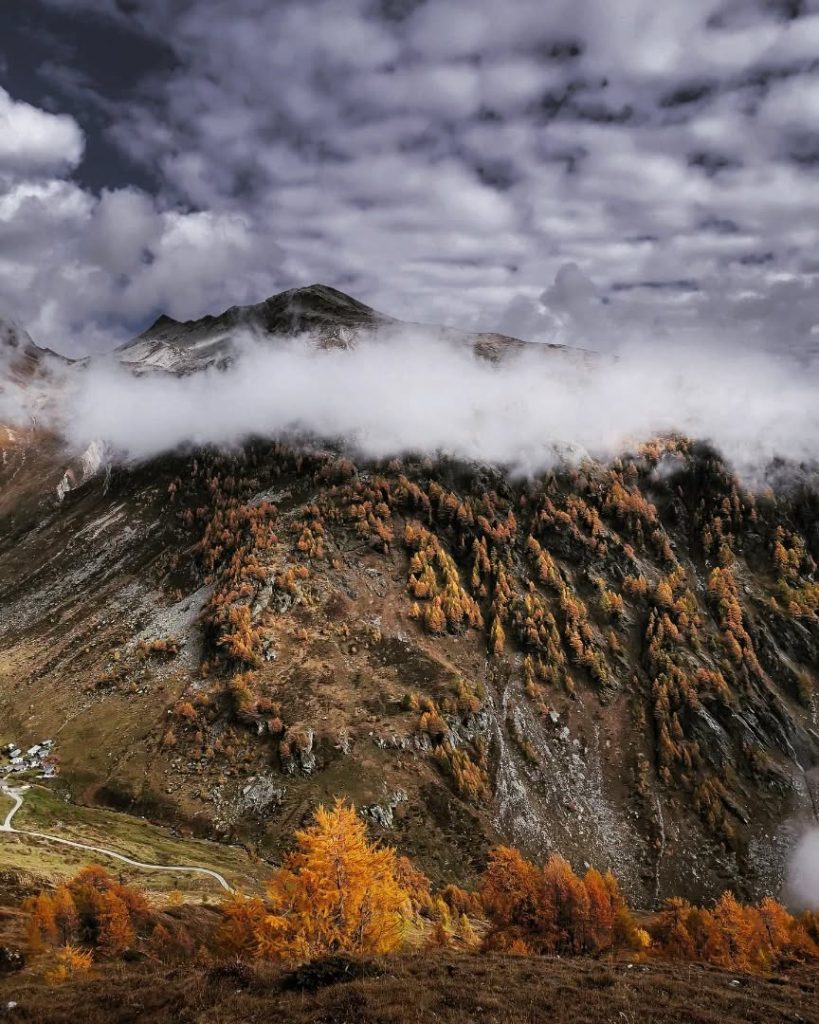 #Wallis